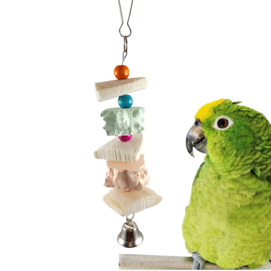 Natural Cuttle-Bone Chew & Bell Toy