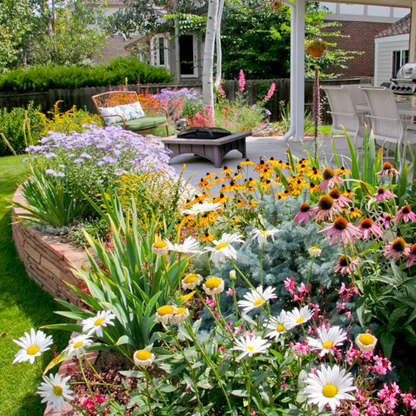 Mixed Perennial Flowers Seeds-60+ kinds mixed